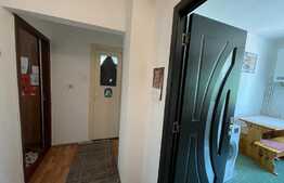 Apartament de 2 camere, decomandat, 56 mp, Tudor