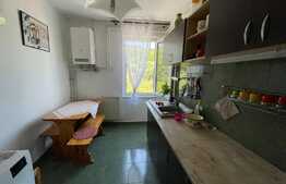 Apartament de 2 camere, decomandat, 56 mp, Tudor