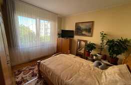 Apartament de 2 camere, decomandat, 54 mp si copertina in spatele blocului, Tudor