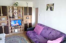 Apartament de 2 camere, semidecomandat, 48 mp, Dambu 