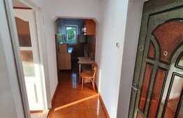 Apartament de 2 camere, 45 mp, decomandat, zona Dambu