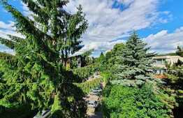 Apartament de 2 camere, 45 mp, decomandat, zona Dambu