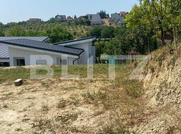 Teren de vânzare Sâncraiu de Mureș - 90966TV | BLITZ Târgu Mureș | Poza4