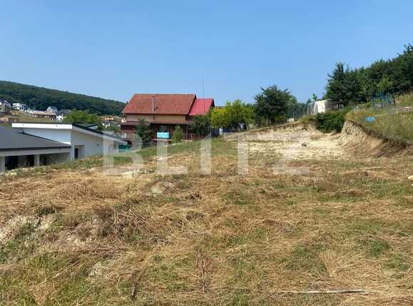 Teren de vânzare Sâncraiu de Mureș - 90966TV | BLITZ Târgu Mureș | Poza2