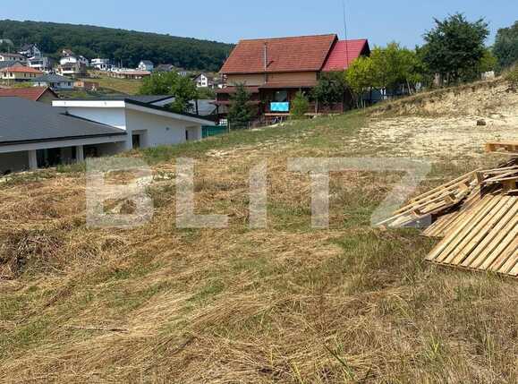 Teren de vânzare Sâncraiu de Mureș - 90966TV | BLITZ Târgu Mureș | Poza6