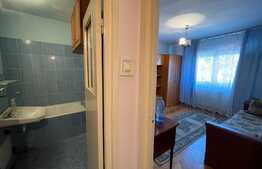 Apartament de 1 camera, cartierul Tudor
