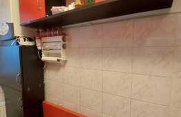 Apartament  2 camere, 45 mp, cartier Dambu Pietros