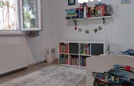 Apartament  2 camere, 45 mp, cartier Dambu Pietros