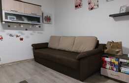 Apartament  2 camere, 45 mp, cartier Dambu Pietros
