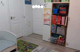 Apartament  2 camere, 45 mp, cartier Dambu Pietros