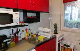 Apartament  2 camere, 45 mp, cartier Dambu Pietros