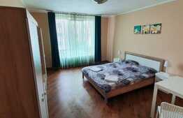 Garsoniera de 30 mp, etaj intermediar, zona Dambu Pietros