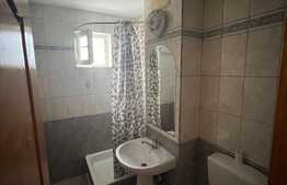 Apartament 4 camere, etaj intermediar, 110 mp, zona Centrala
