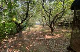 Casa cu mansarda de 170 mp, teren 1200 mp, in loc Voiniceni 