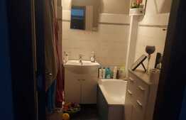 Apartament de 2 camere, 52 mp, etaj intermediar, Balcescu 