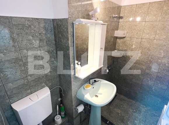 Garsonieră de închiriat Aleea Carpati - 93743AI | BLITZ Târgu Mureș | Poza3