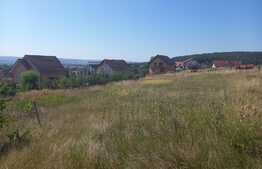 Casa de 200mp utili, 1900 mp teren, terasa, in Reghin