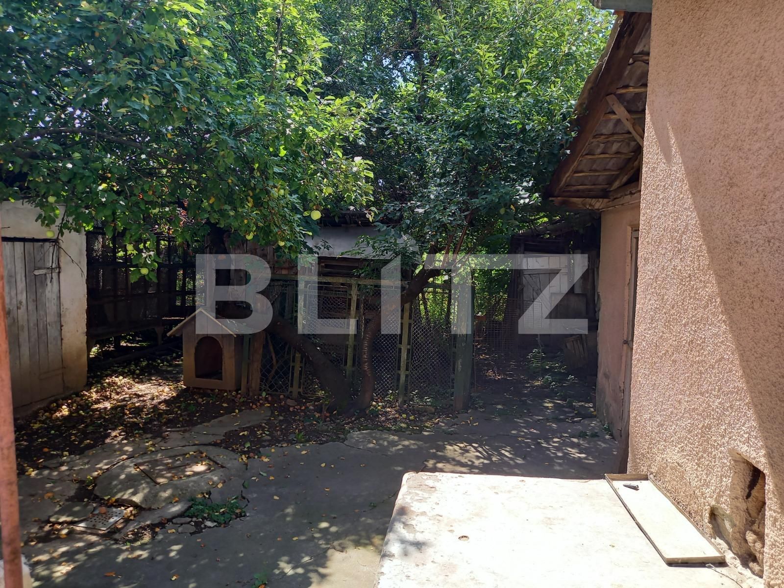 Casa de vânzare 2 camere Mureseni - 93976CV | BLITZ Târgu Mureș | Poza8