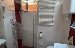 De vanzare 2 case, curte comuna, 70 mp, zona Centrala