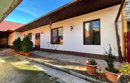 De vanzare 2 case, curte comuna, 70 mp, zona Centrala