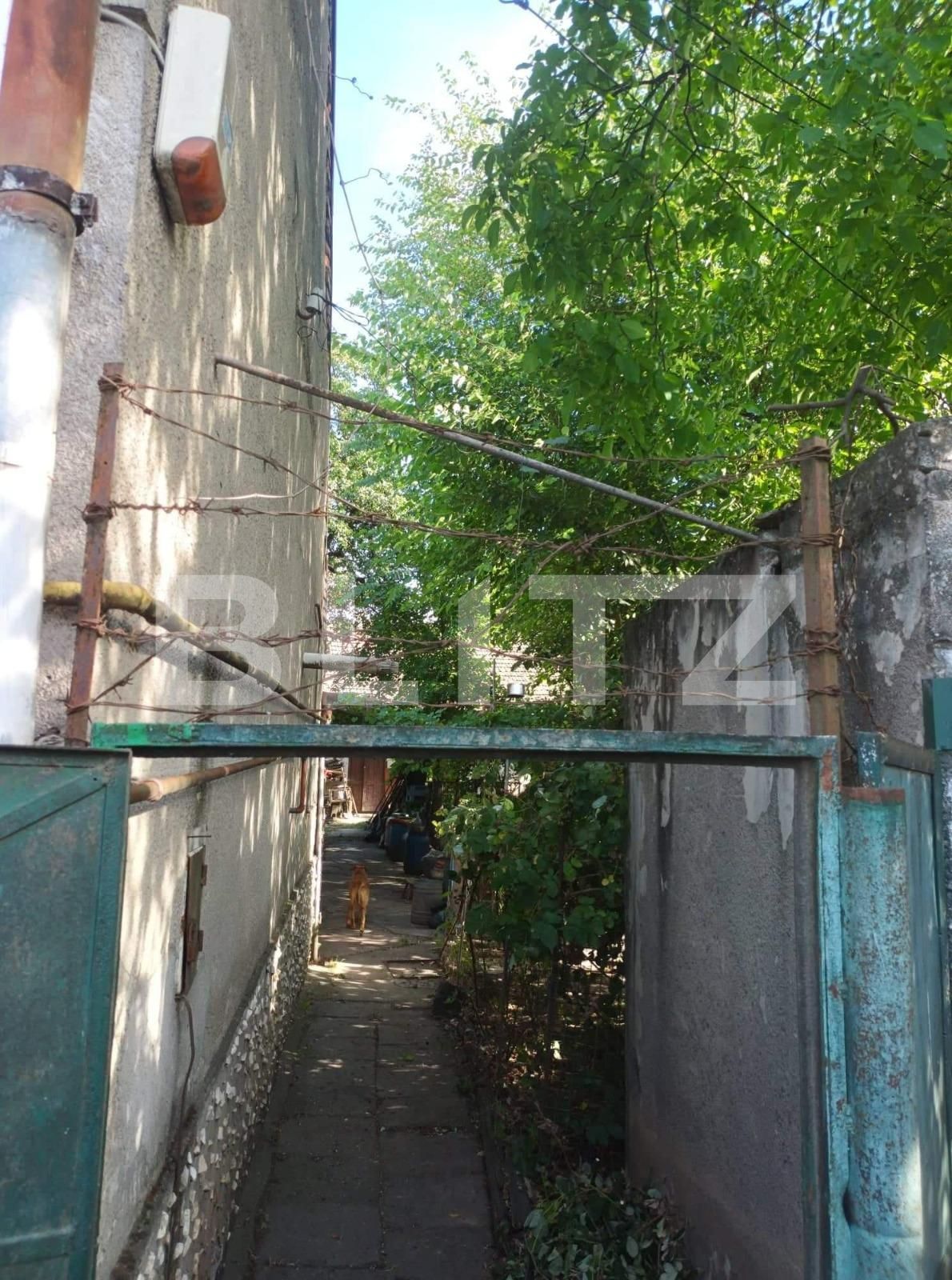 Casa de vânzare 6 camere Budiului - 94157CV | BLITZ Târgu Mureș | Poza4