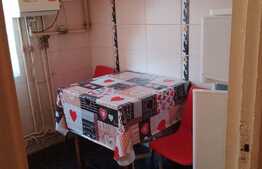 Garsoniera de 28 mp, zona 1848