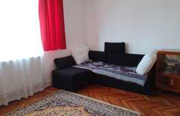 Garsoniera de 28 mp, zona 1848