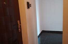 Garsoniera de 28 mp, zona 1848