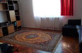 Garsoniera de 28 mp, zona 1848