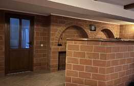  2 case, 300 mp, 100 mp, teren 1600 mp, Santana de Mures