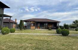  2 case, 300 mp, 100 mp, teren 1600 mp, Santana de Mures