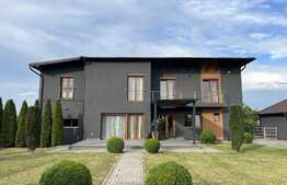  2 case, 300 mp, 100 mp, teren 1600 mp, Santana de Mures