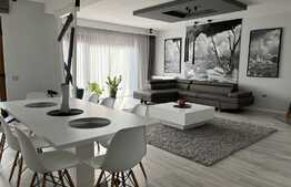  2 case, 300 mp, 100 mp, teren 1600 mp, Santana de Mures