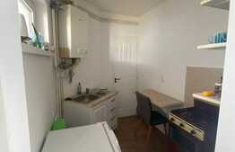 Garsoniera de 30 mp, etaj intermediar, zona Dambu Pietros