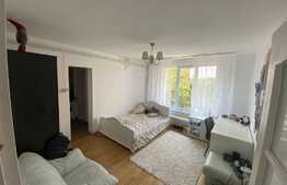 Garsoniera de 30 mp, etaj intermediar, zona Dambu Pietros