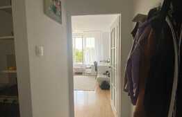 Garsoniera de 30 mp, etaj intermediar, zona Dambu Pietros