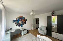 Garsoniera de 30 mp, etaj intermediar, zona Dambu Pietros