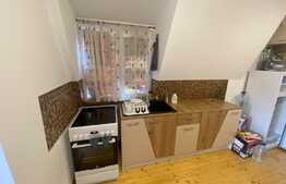 Garsoniera de 35 mp, curte, lângă UMF 