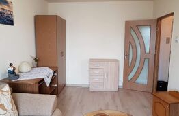 Garsoniera de 30 mp, cartier Tudor