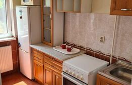 Garsoniera spatioasa, 40 mp, cartier Tudor