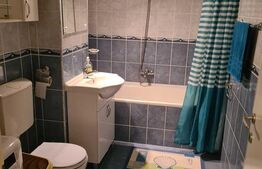 Garsoniera spatioasa, 40 mp, cartier Tudor