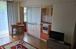 Garsoniera spatioasa, 40 mp, cartier Tudor