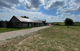 Teren 5.5 ha si lac, in Fanatele Bandului
