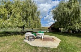 Teren 5.5 ha si lac, in Fanatele Bandului