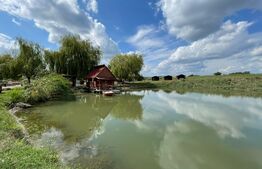 Teren 5.5 ha si lac, in Fanatele Bandului