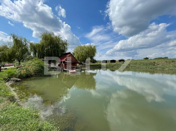 Teren de vânzare Central - 96010TV | BLITZ Târgu Mureș | Poza1