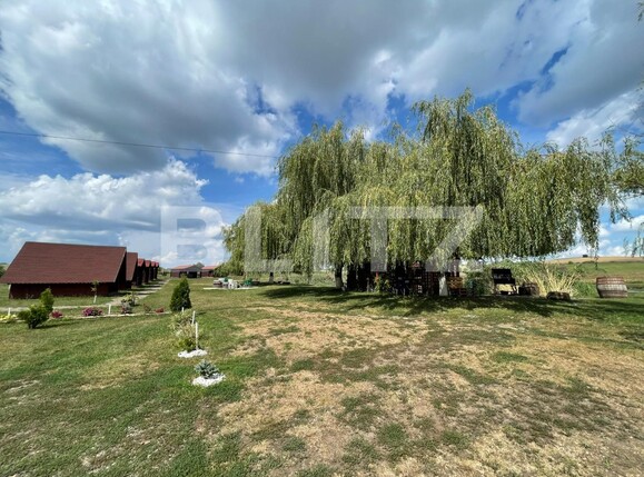 Teren de vânzare Central - 96010TV | BLITZ Târgu Mureș | Poza7