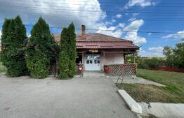 De vanzare afacere la cheie, localitatea Fanatele Bandului