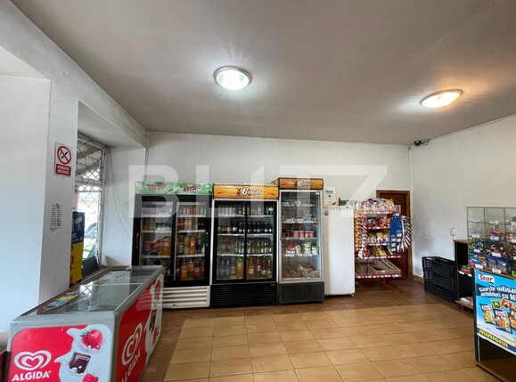 Casa de vânzare 6 camere Exterior Vest - 96012CV | BLITZ Târgu Mureș | Poza9