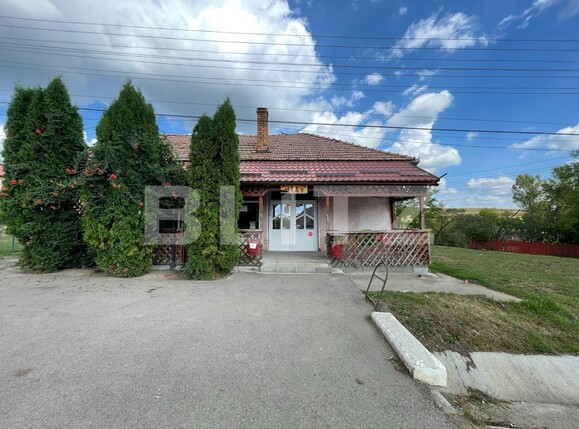 Casa de vânzare 6 camere Exterior Vest - 96012CV | BLITZ Târgu Mureș | Poza2